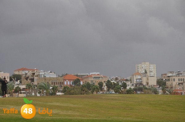 yaffa rain 1211 (35).JPG